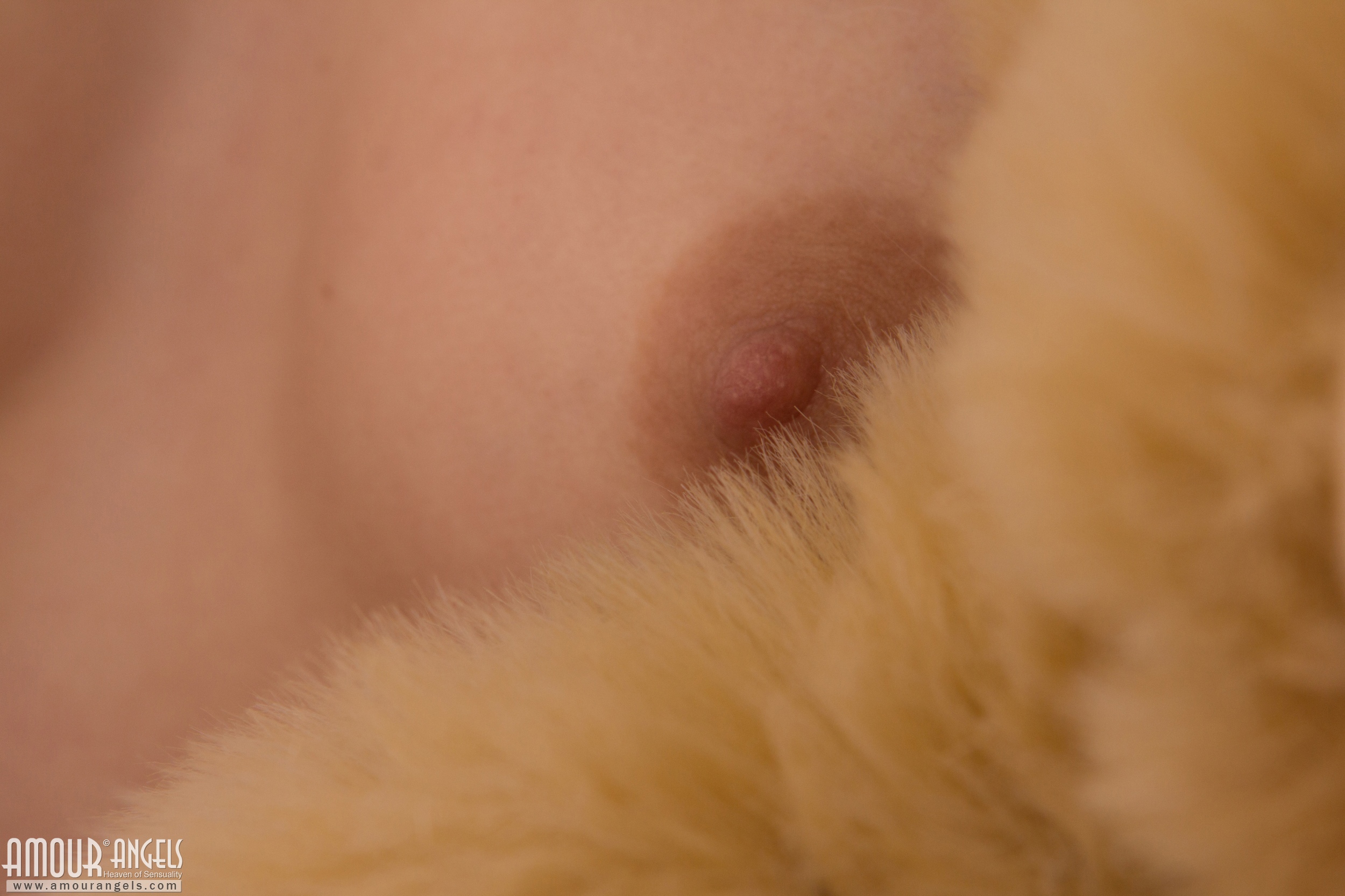 [Image: c71288b0b9616df720c63.jpg]