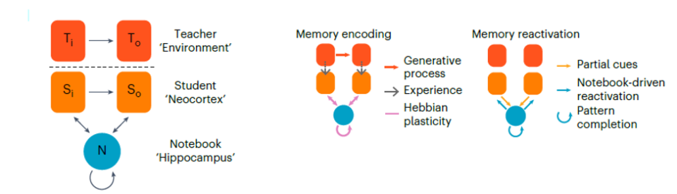 Как память обобщает воспоминания? Новая теория