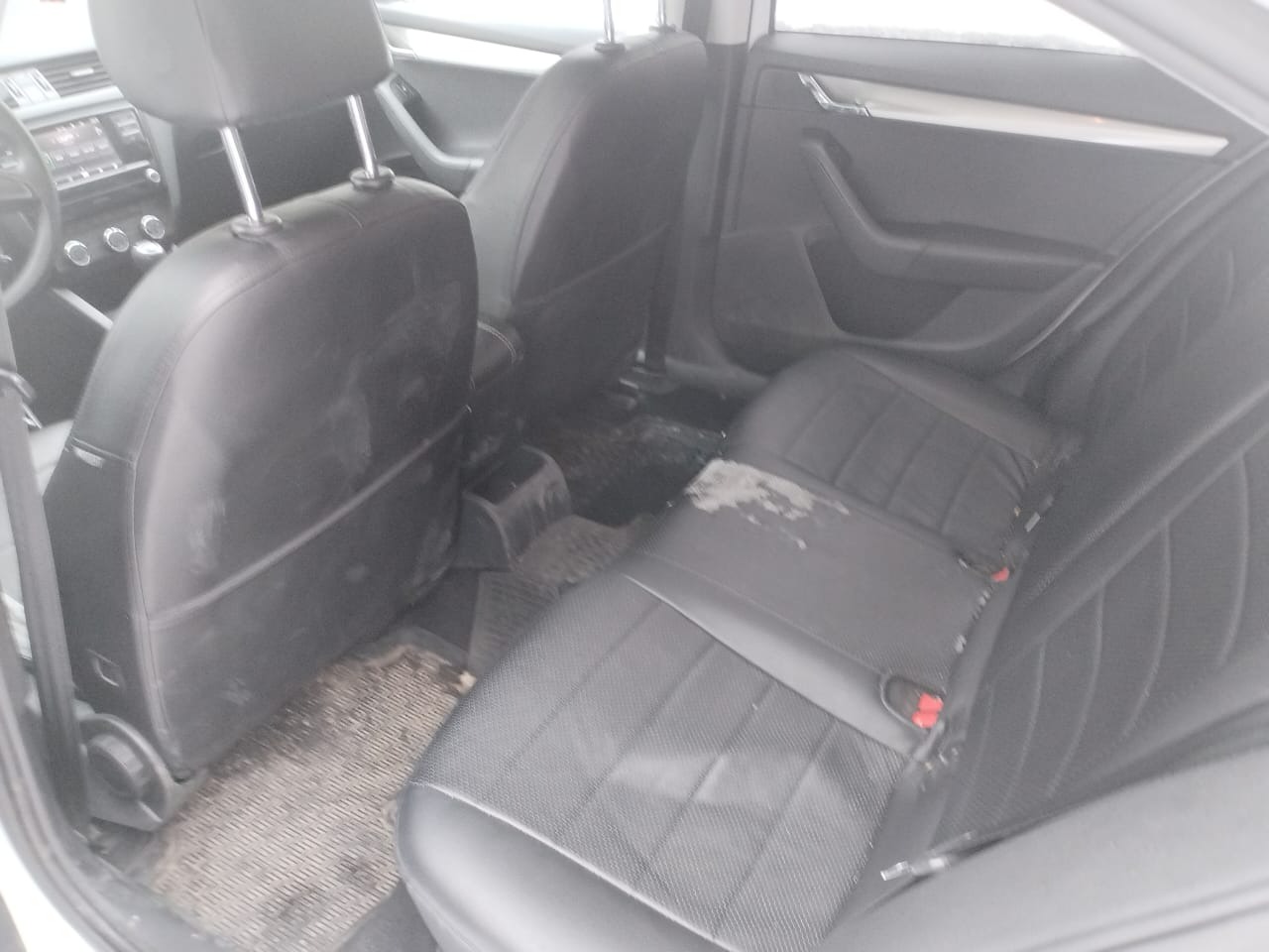 ШКОДА ОКТАВИЯ 1.6-ат-москва – Telegraph