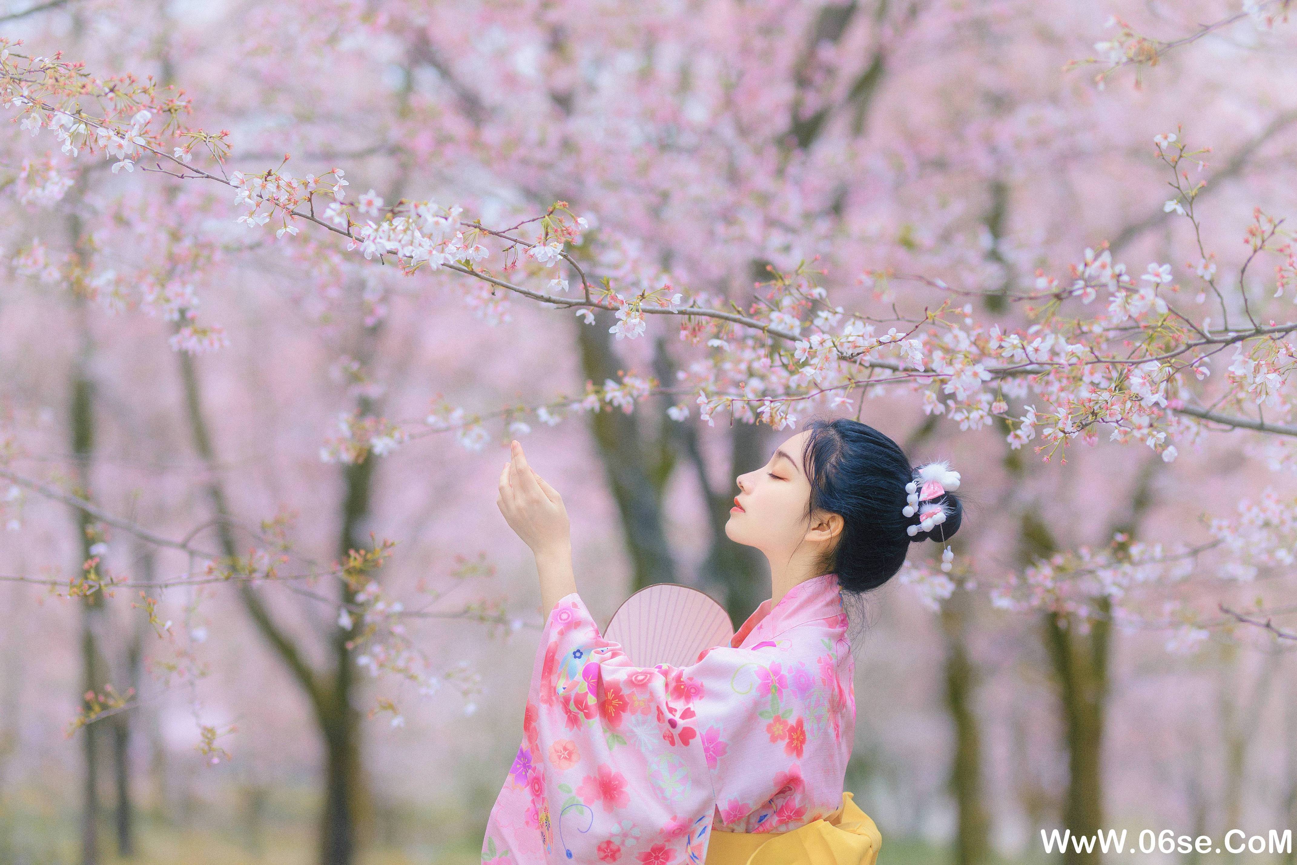 图片[27]-[YITUYU艺图语]2021.08.27 樱の物语 猫夏小卡[33+1P／1.22GB]-六色网