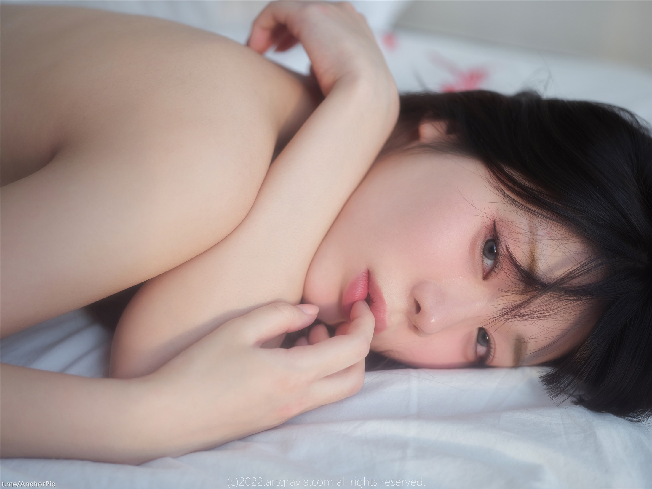 [ArtGravia] VOL.464 Wuyo 100P 99