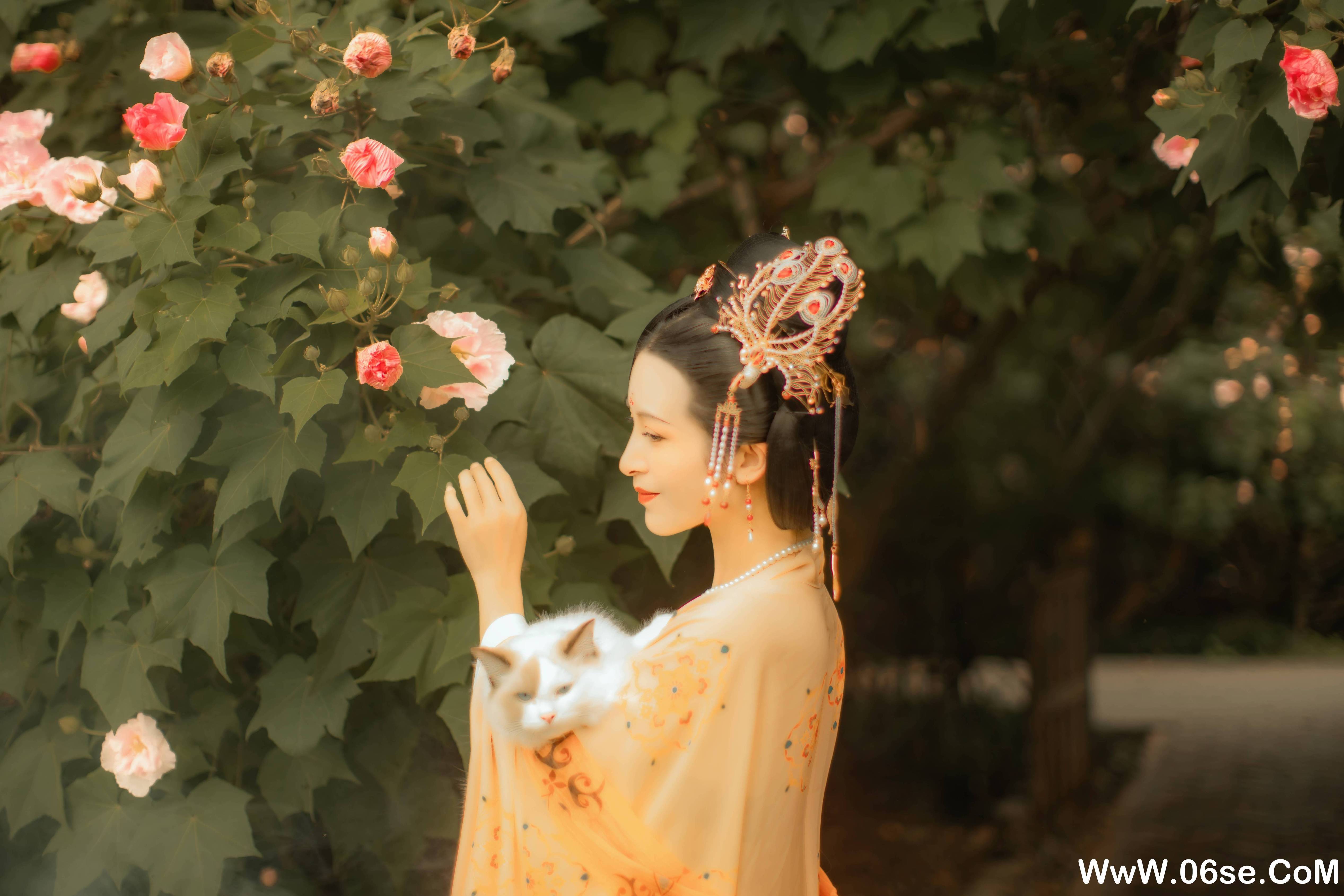 图片[4]-[YITUYU艺图语]2021.11.18 芙蓉词 修水凝花[37+1P／515MB]-六色网