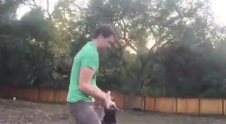 Jugando al palo con tu perro