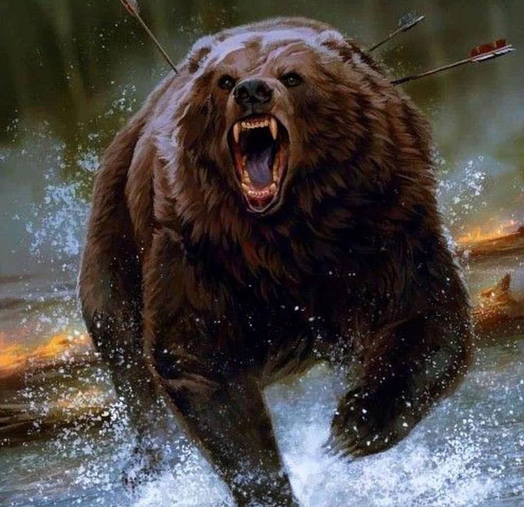 Злой медведь картинки