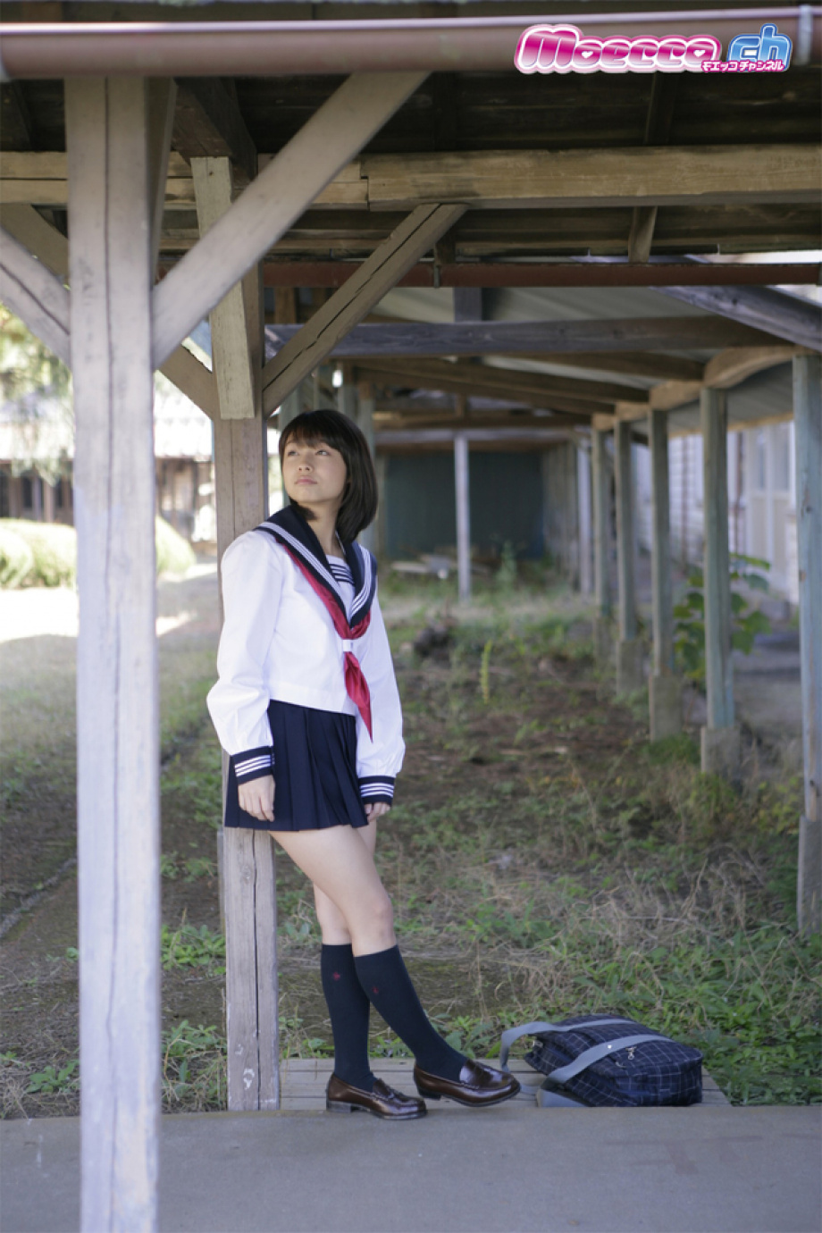 [Image: c933185ec49db39d43f10.jpg]