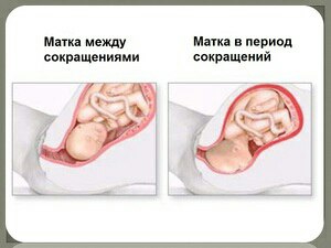 Porno fohisha Marichka el 38098 877 88 03 Kiev Obolon