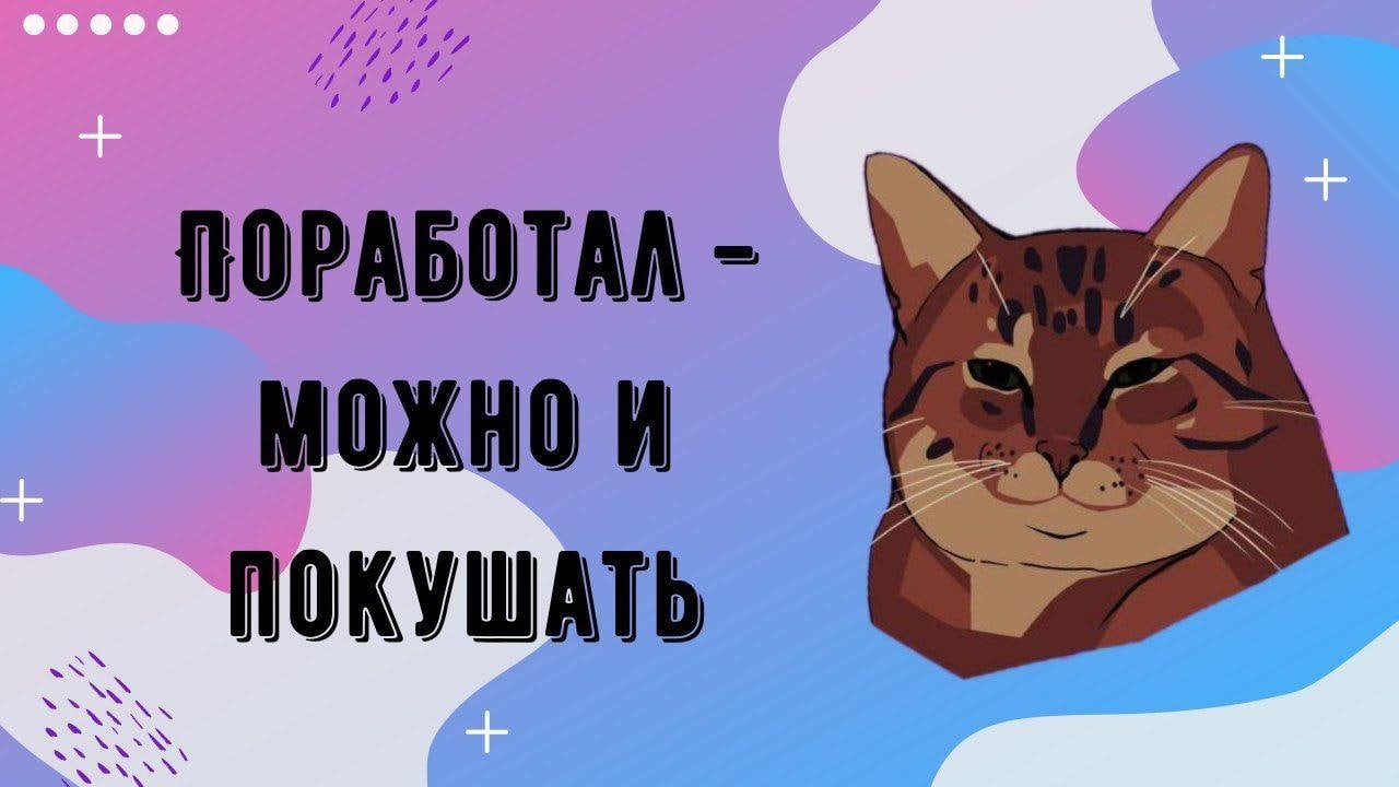 Канал котик. Канал кот миллион. Поля котик канал. Жалобы кота для канала.