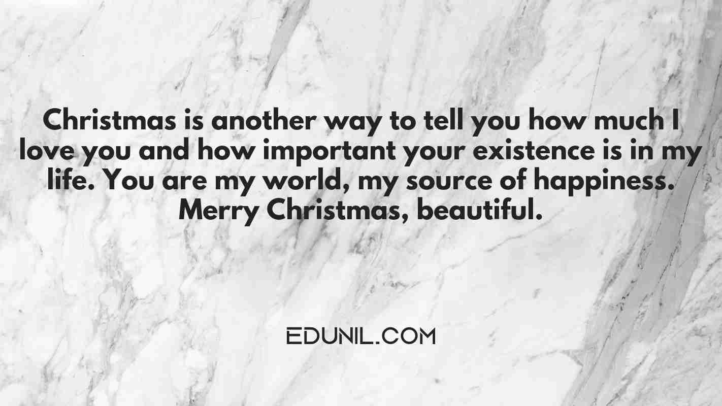Christmas is another way to tell you how much I love you and how important your existence is in my life. You are my world, my source of happiness. Merry Christmas, beautiful. - 
