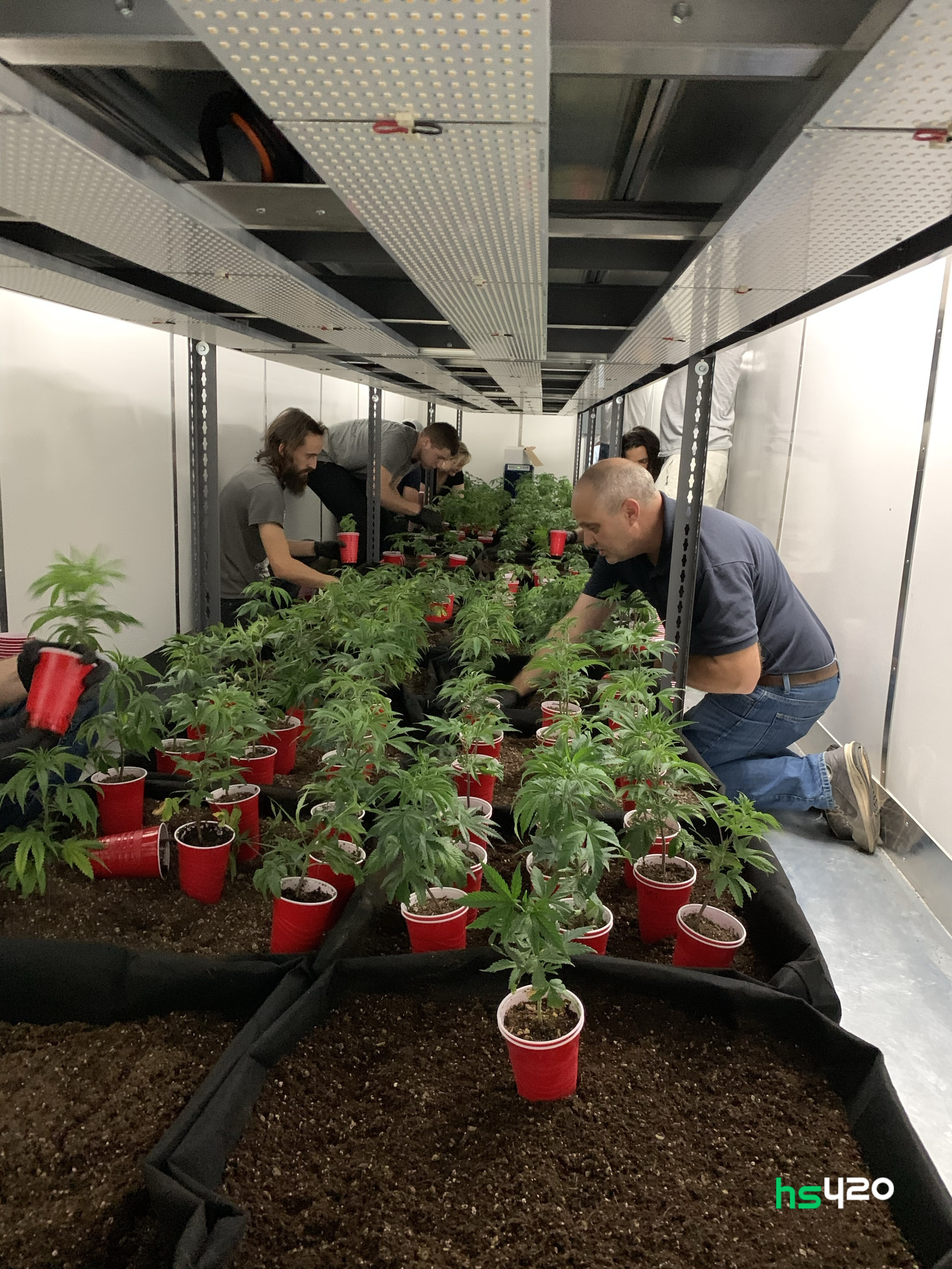 Что Выгодно Выращивать На Продажу