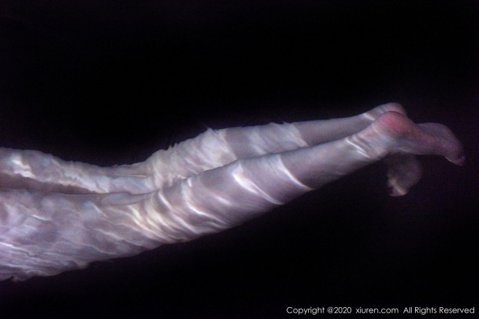 [Image: cad2ae3baecfed4538f34.jpg]