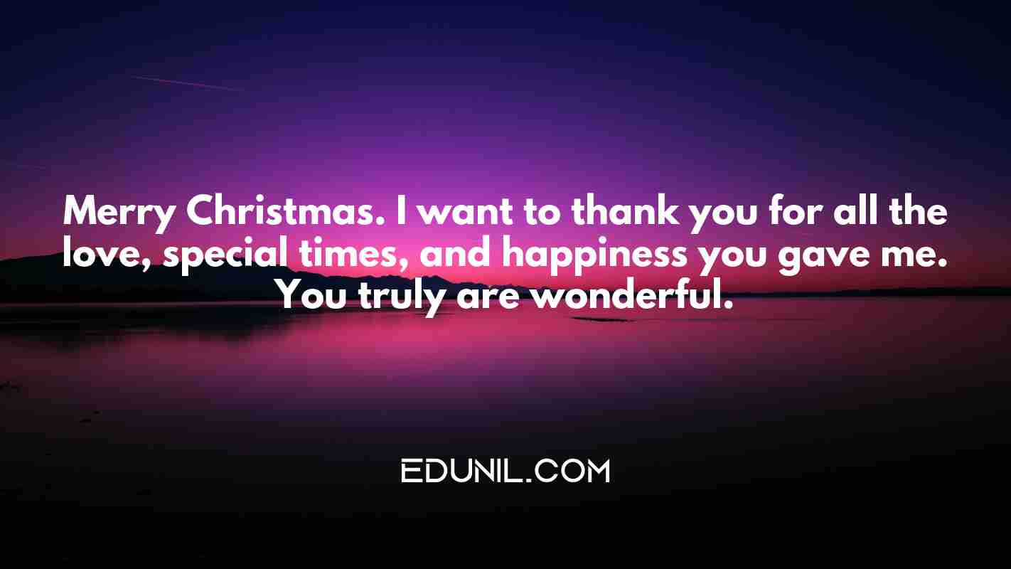 Merry Christmas. I want to thank you for all the love, special times, and happiness you gave me. You truly are wonderful. - 
