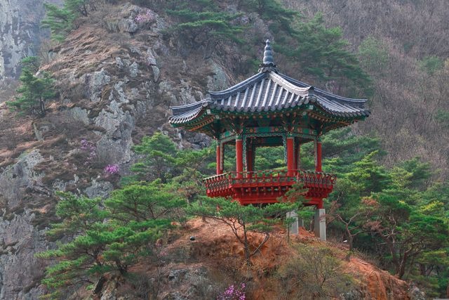 cestování v koreji