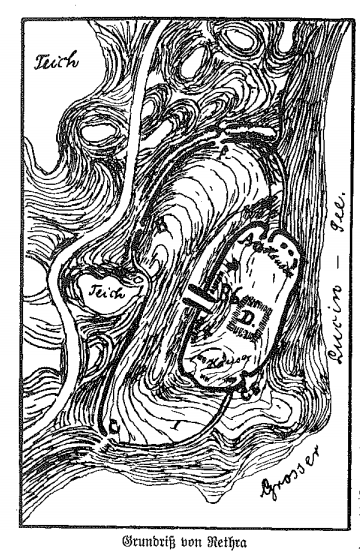 Ahnenerbe об Арконе и Ретре.