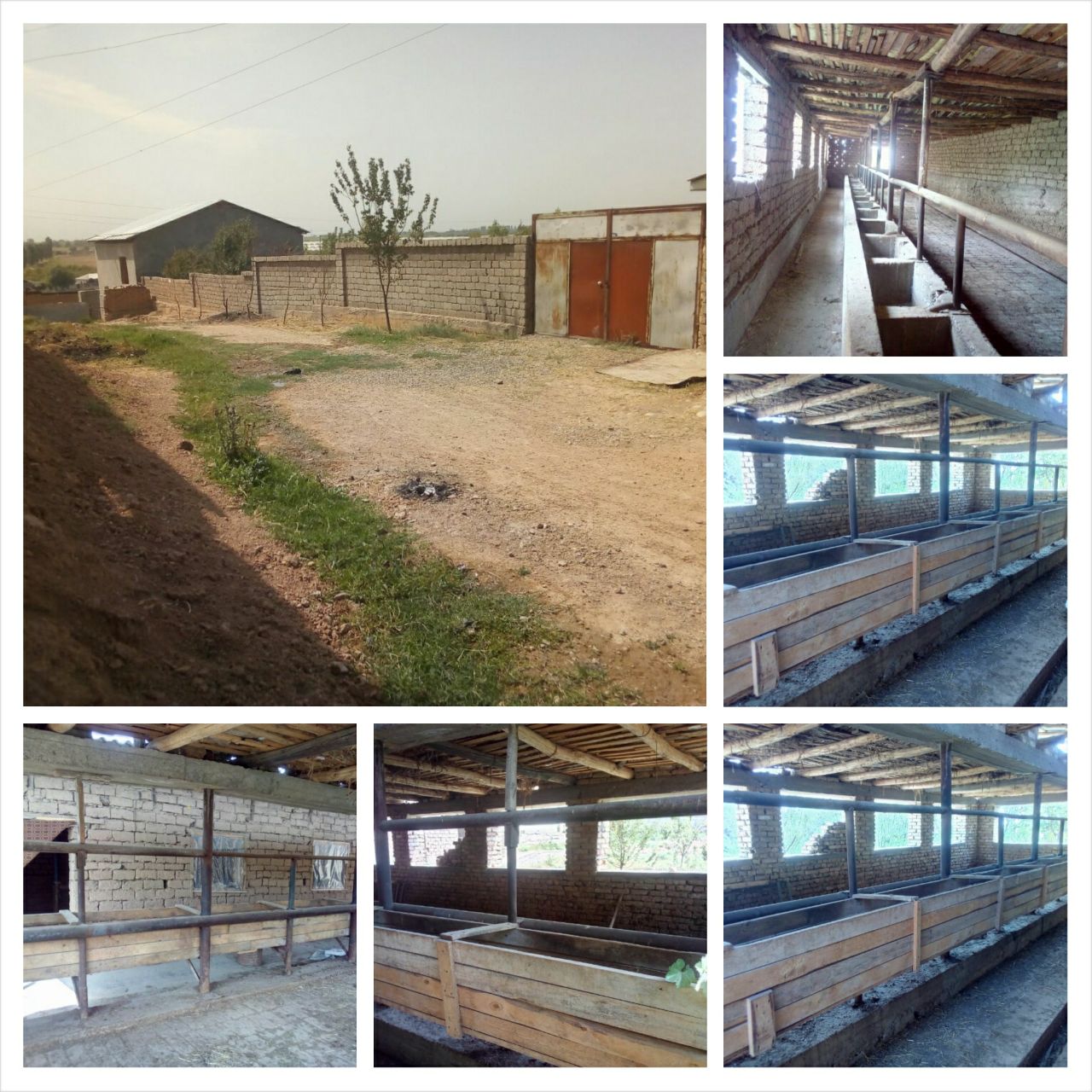 Молхона куриш проекты