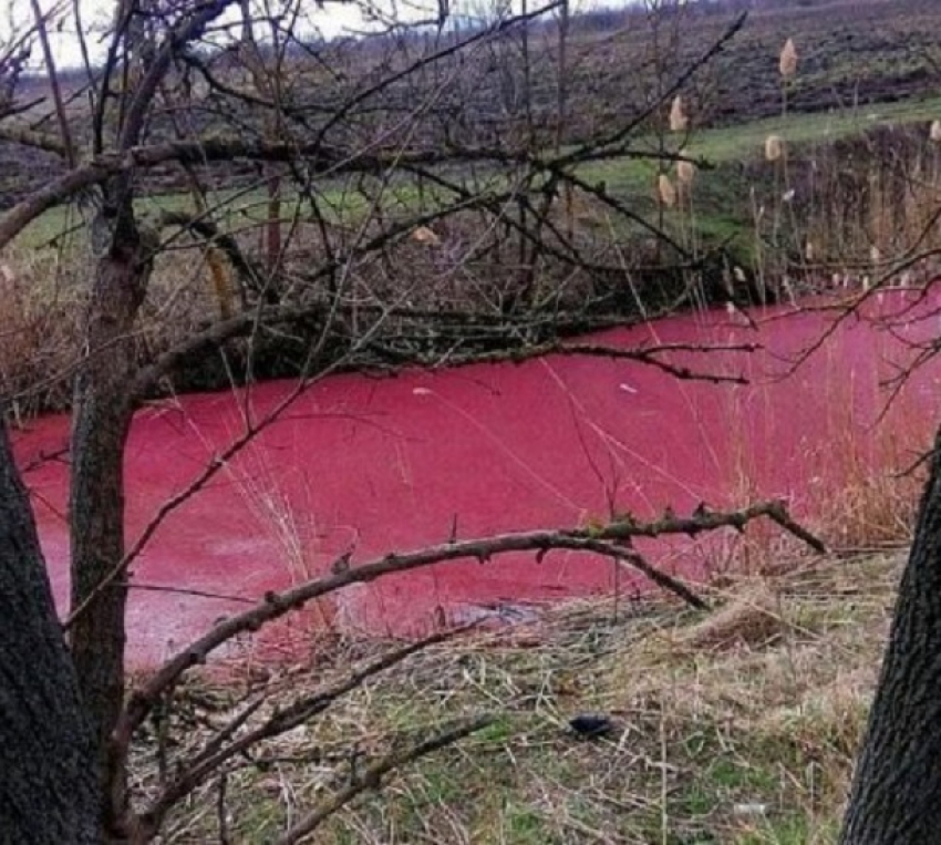 Что произошло в красном. Кровавое озеро Краснодарский край. Красная река Краснодарский край. Елизаветинская красная река.