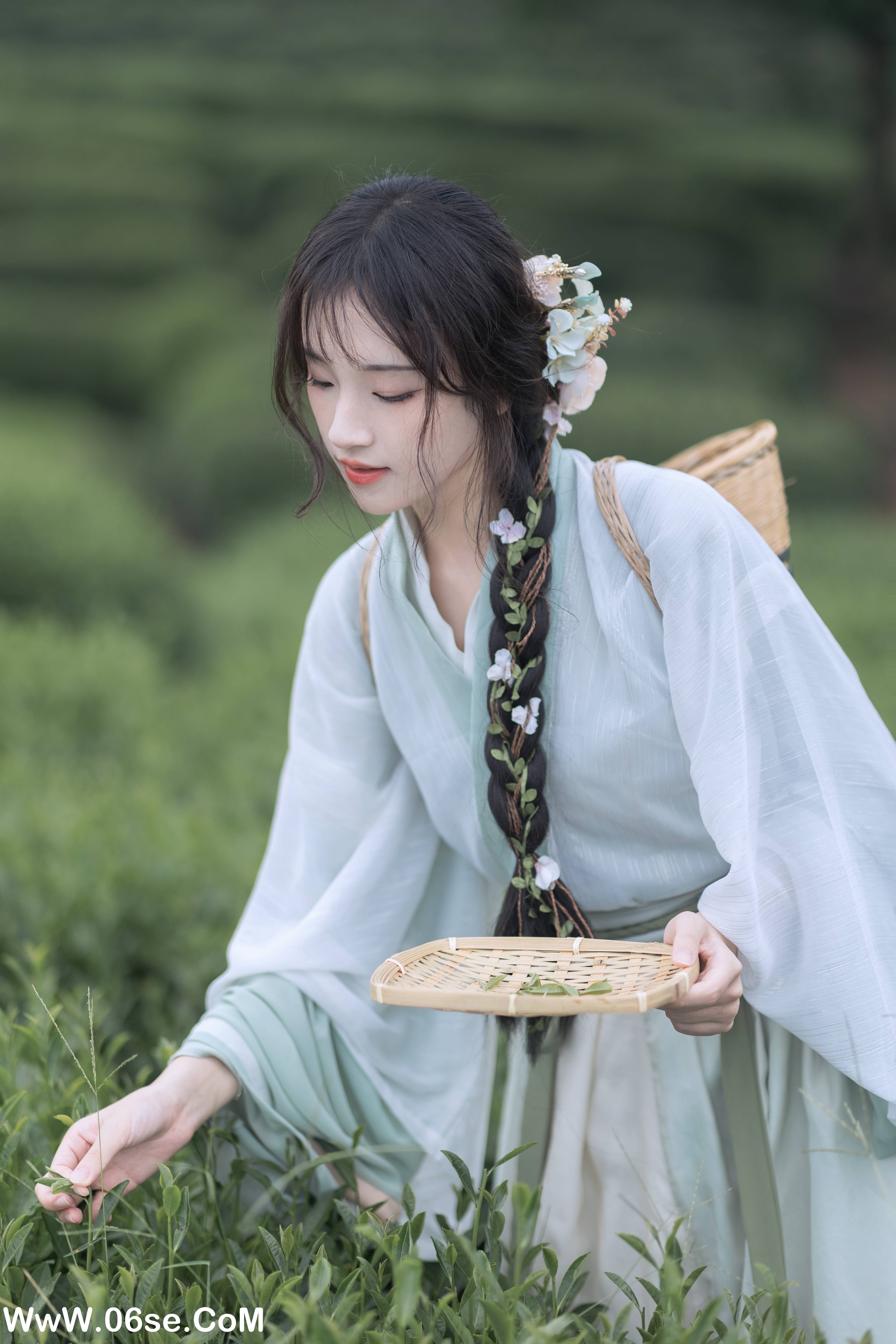 图片[6]-[YITUYU艺图语]2022.11.10 采茶纪 方莛玉[53+1P／473MB]-六色网