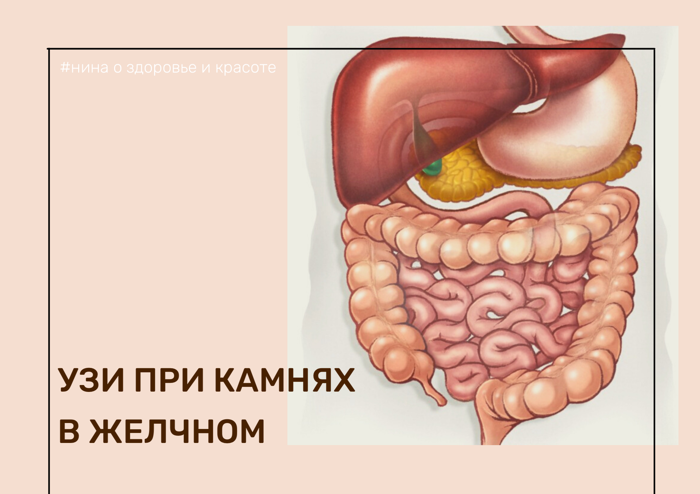 Болезнь печени и желудка. ЖКТ желудочно-кишечный тракт. Пищеварительная система человека тонкий кишечник. Желудочно-кишечный тракт человека анатомия. Пищеварительная система желудок анатомия.