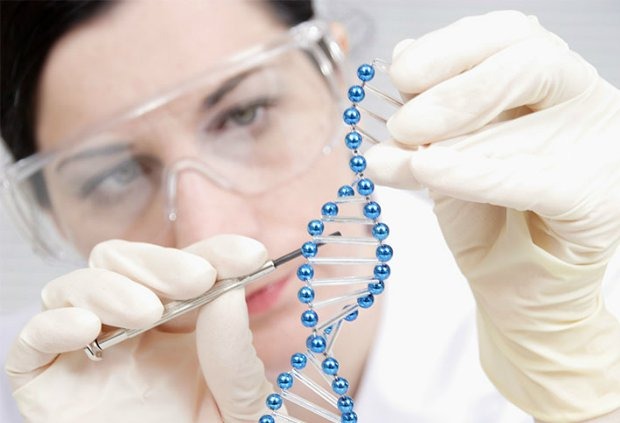 Иллюстрация к статье «Конные профессии, где необязательно ездить верхом. Часть 2»