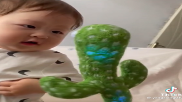 El cactus que baila