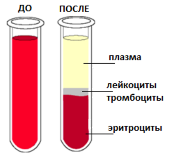 Отделить плазму. Плазма крови после центрифугирования. Разделение крови на плазму и форменные элементы. Слои крови после центрифугирования. Плазма крови это суспензия.