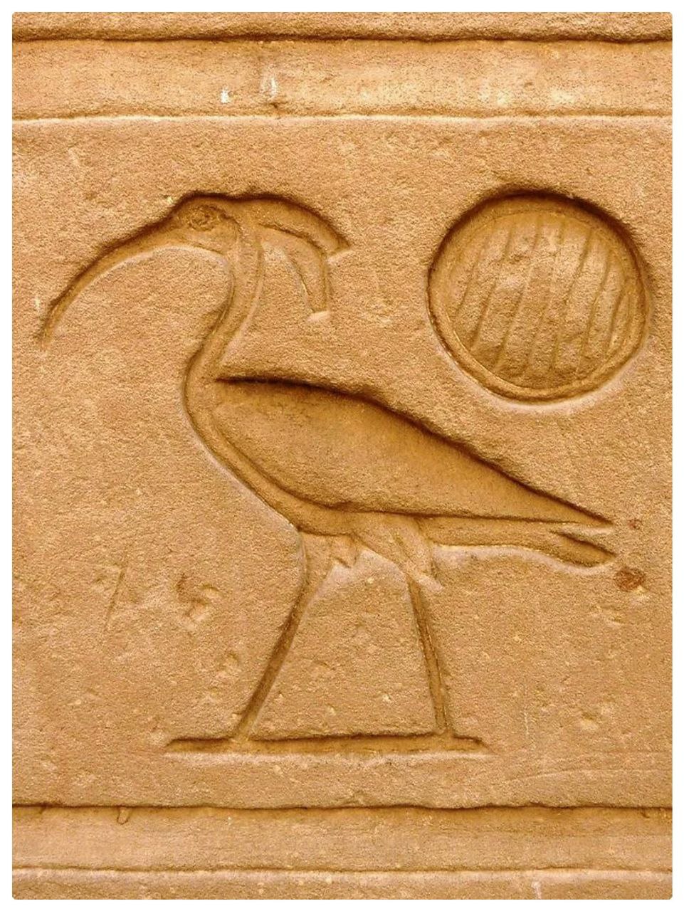 Ибис птица Египет символ