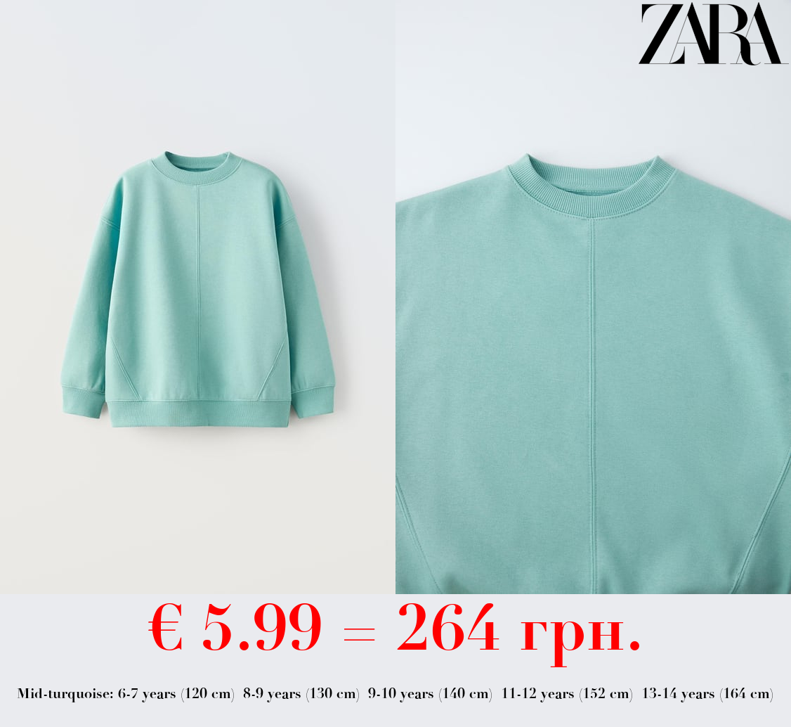 BASIC PLUSH SWEATSHIRT