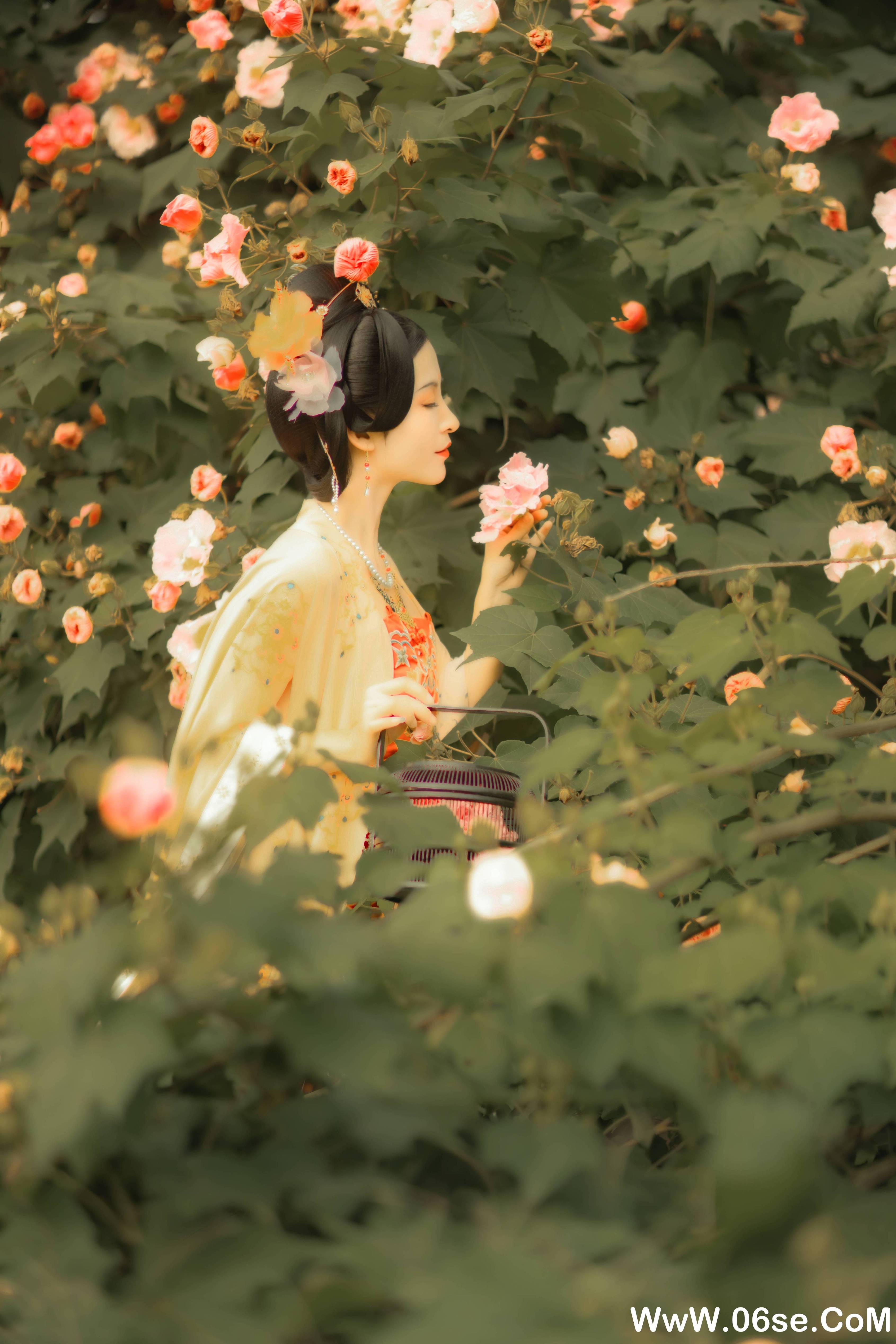 图片[14]-[YITUYU艺图语]2021.11.18 芙蓉词 修水凝花[37+1P／515MB]-六色网
