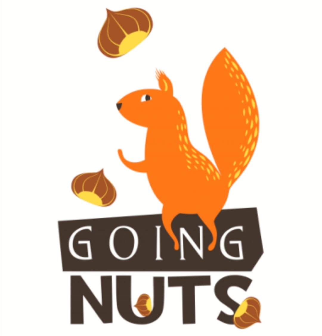 Nut and go перевод с английского. To go Nuts. To go Nuts идиома. Nuts idioms. Going Nuts.