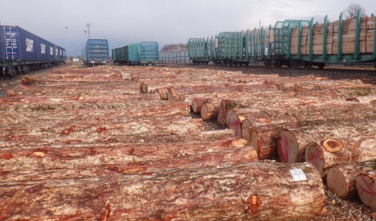 Лесоматериалов на 19 млн рублей пытались незаконно вывезти в Китай из Хабаровска