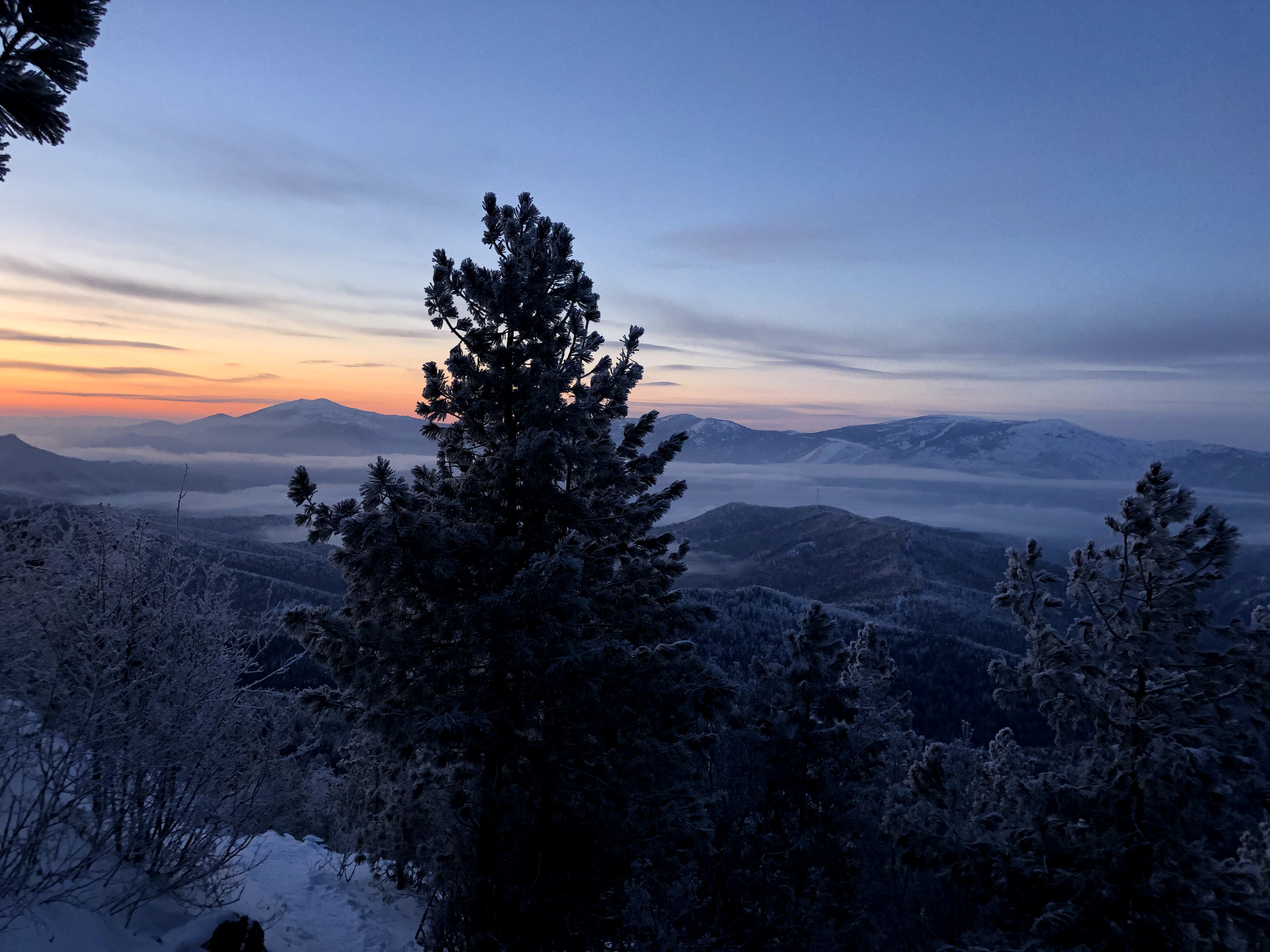 Борус красноярск телеграмм канал фото 22