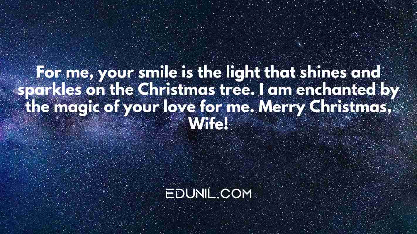 For me, your smile is the light that shines and sparkles on the Christmas tree. I am enchanted by the magic of your love for me. Merry Christmas, Wife! - 
