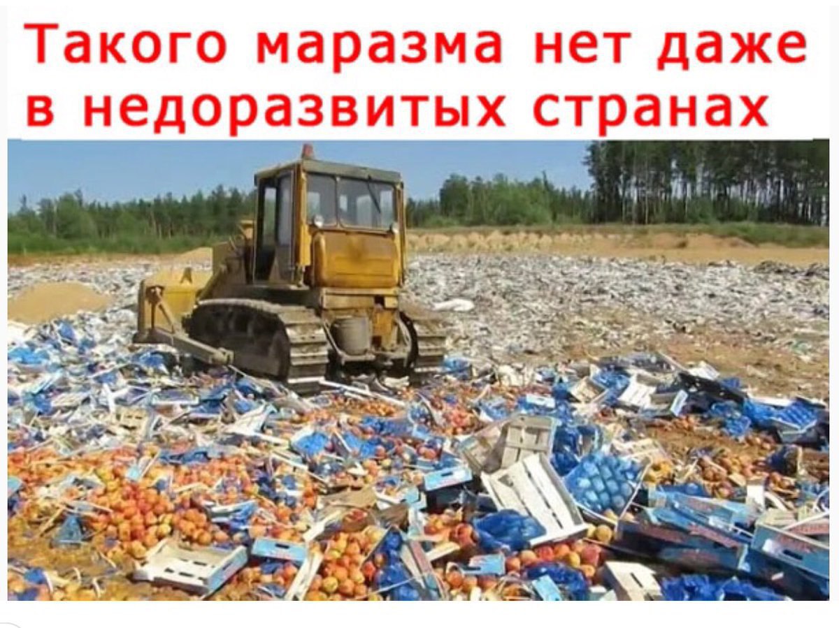 Давят картинка. Давят санкционные продукты. Давят продукты бульдозером. Трактор давит продукты.