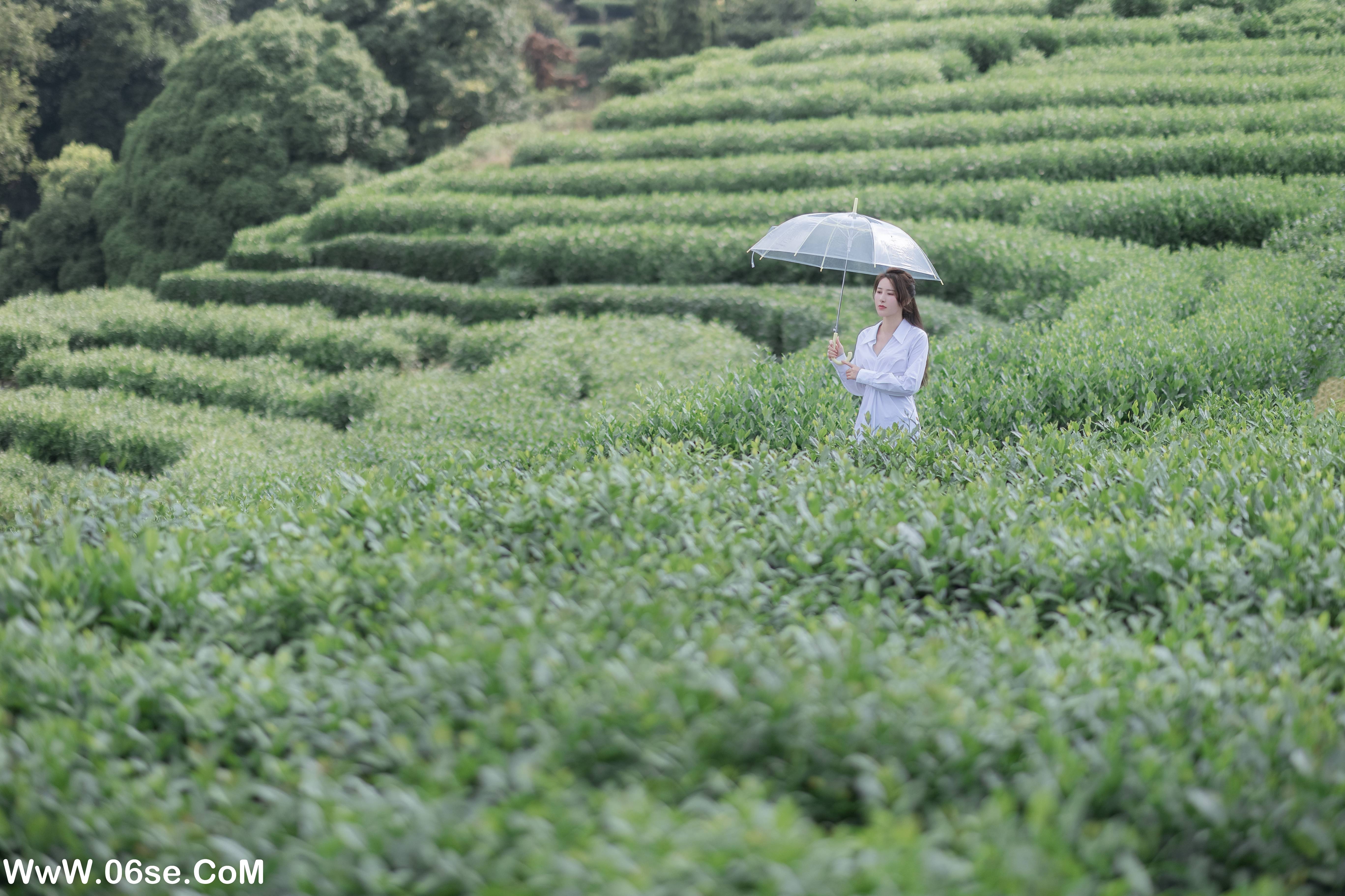 图片[3]-[YITUYU艺图语]2022.09.24 茶岚 小美[31+1P／225MB]-六色网