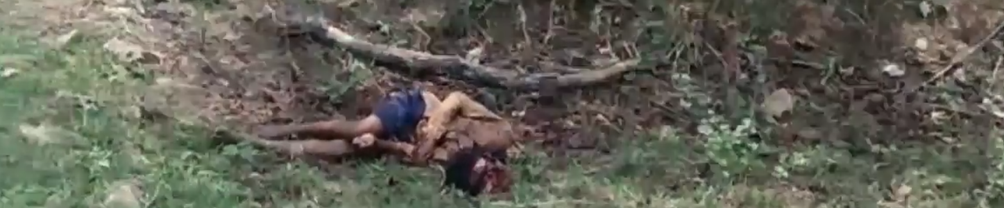 https://telegra.ph/file/cf7e417d96aaba8356861.png