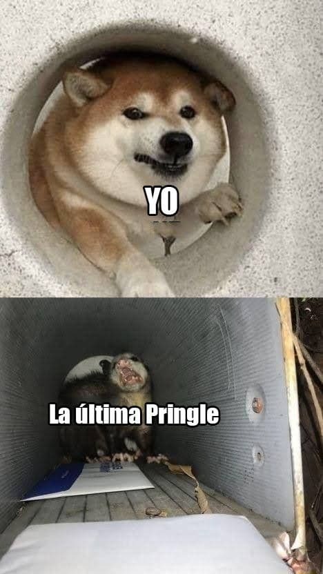 Cuando queda la última pringle