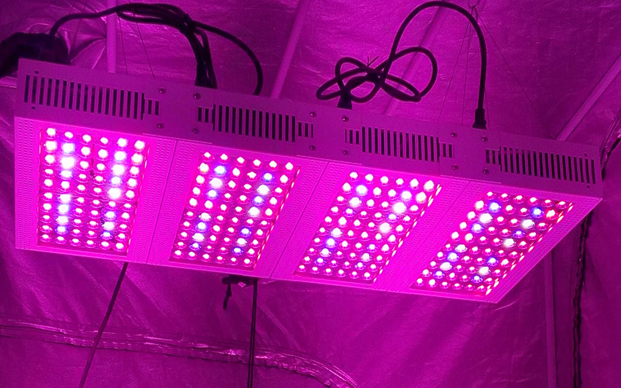 Better led. Гроу лампа лед. Лампа лед Гроу Лайт 50. Fito-100w. Лампа лед фитопанель.