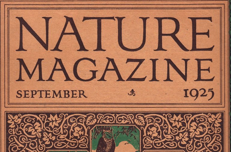 Natural journal. Журнал nature. Журнале nature открытый. Nature журнал 1869. Журнал nature 1998.