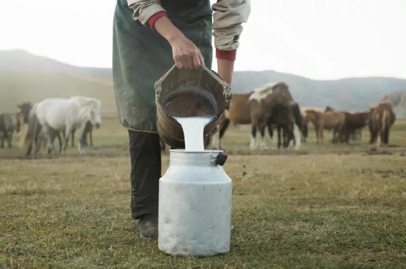 Евразийский совет примет ГОСТ на сырое кобылье молоко