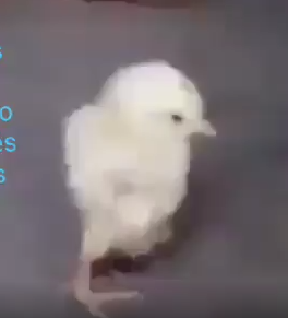 Cuando pasas de los 50 Cuando pasas de los 50
