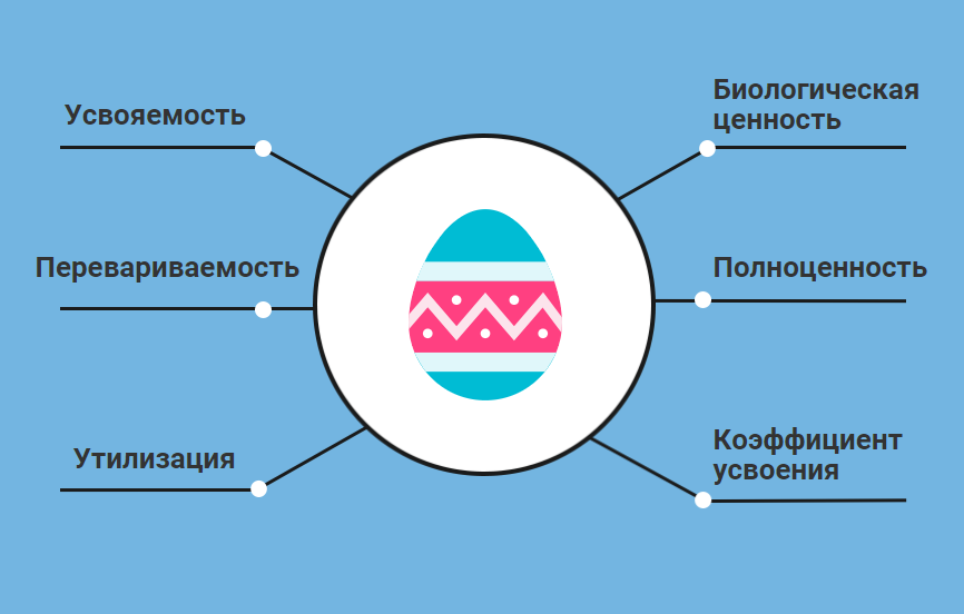 Качество белков. Критерии качества белка. Методы оценки качества белка. Основные критерии качества пищевого белка. Чем определяется качество белка.