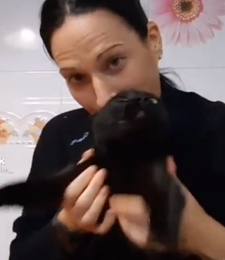 Cómo cortar las uñas a tu gato