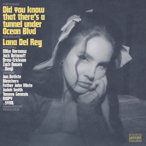 Download Lana Del Rey - Did you know that there's a tunnel under Ocean Blvd  (2023) [320].zip vderfghyu – Telegraph
