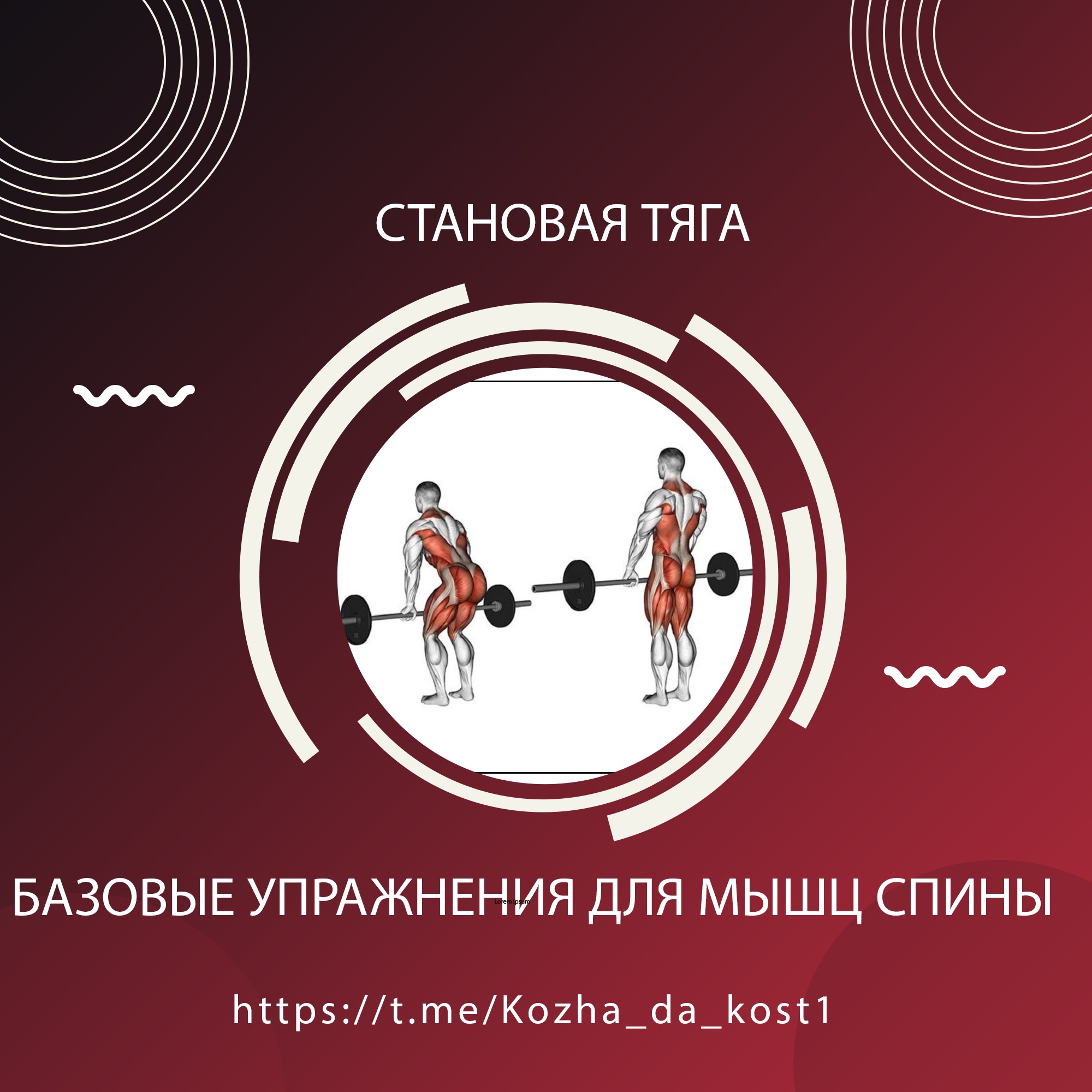 Становая тяга. Техника выполнения – Telegraph