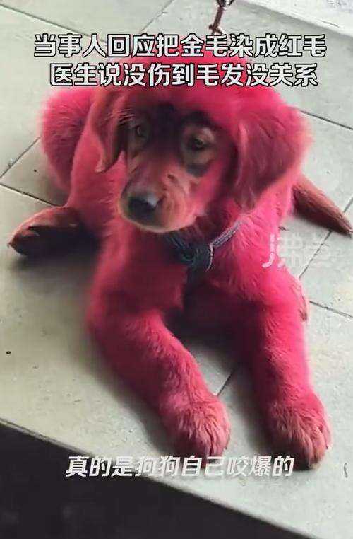 https://telegra.ph/file/d295f190ae07f353f8b1c.jpg