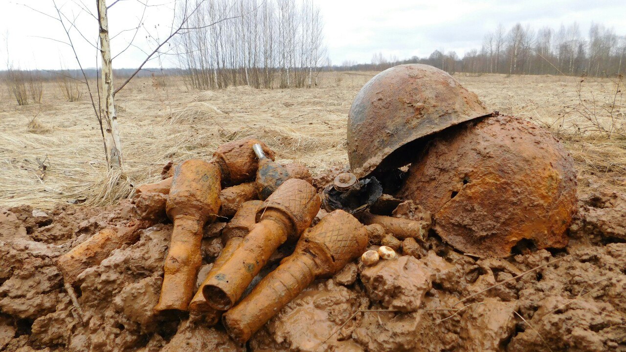 Найди войну. Раскопки 2 мировой войны останки солдат. Захоронения раскопки второй мировой войны. Раскопки ВОВ Ленинградская область. Раскопки останков солдат ВОВ.