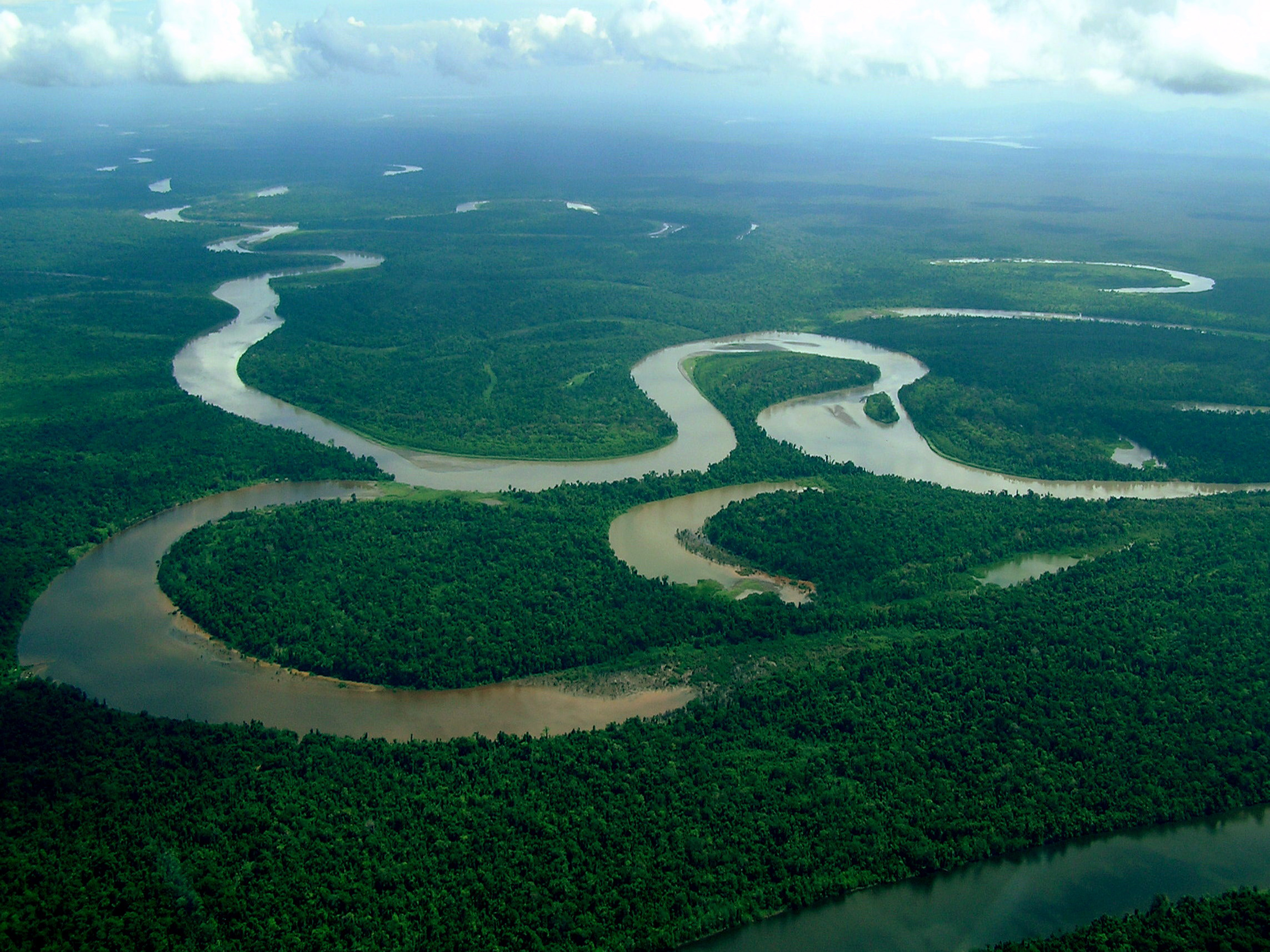 Реки полноводные весь год. Река Сепик новая Гвинея. Сепик (река). Озеро Марри новая Гвинея. Папуа новая Гвинея реки.