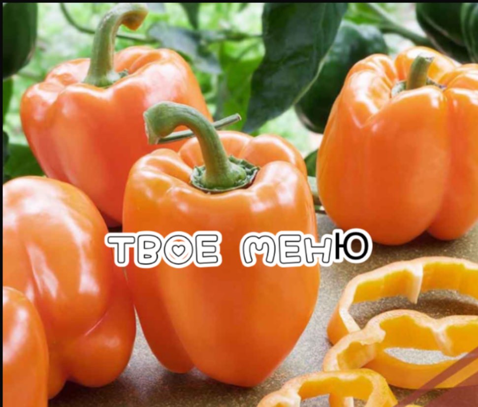 Перец Калифорнийское Чудо Фото Урожайность Характеристика