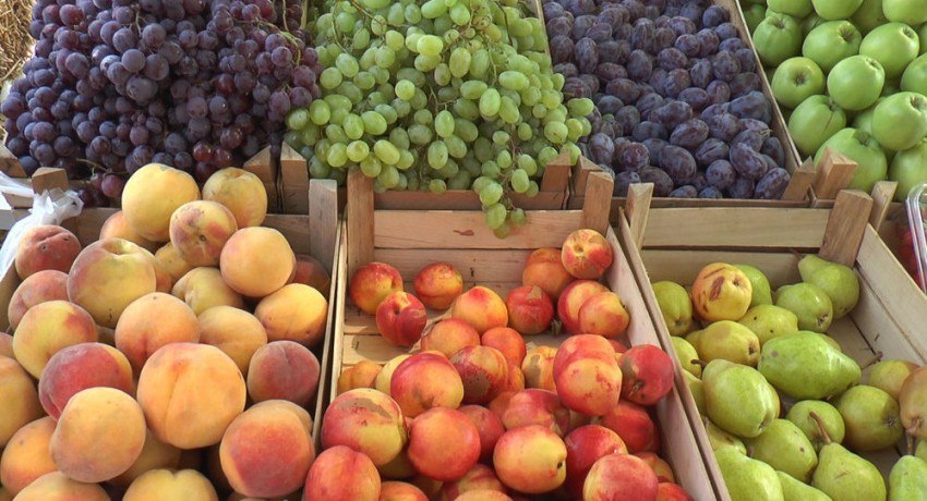 Молдова впервые заработала $200 млн на экспорте фруктов в Россию и обошла Сербию