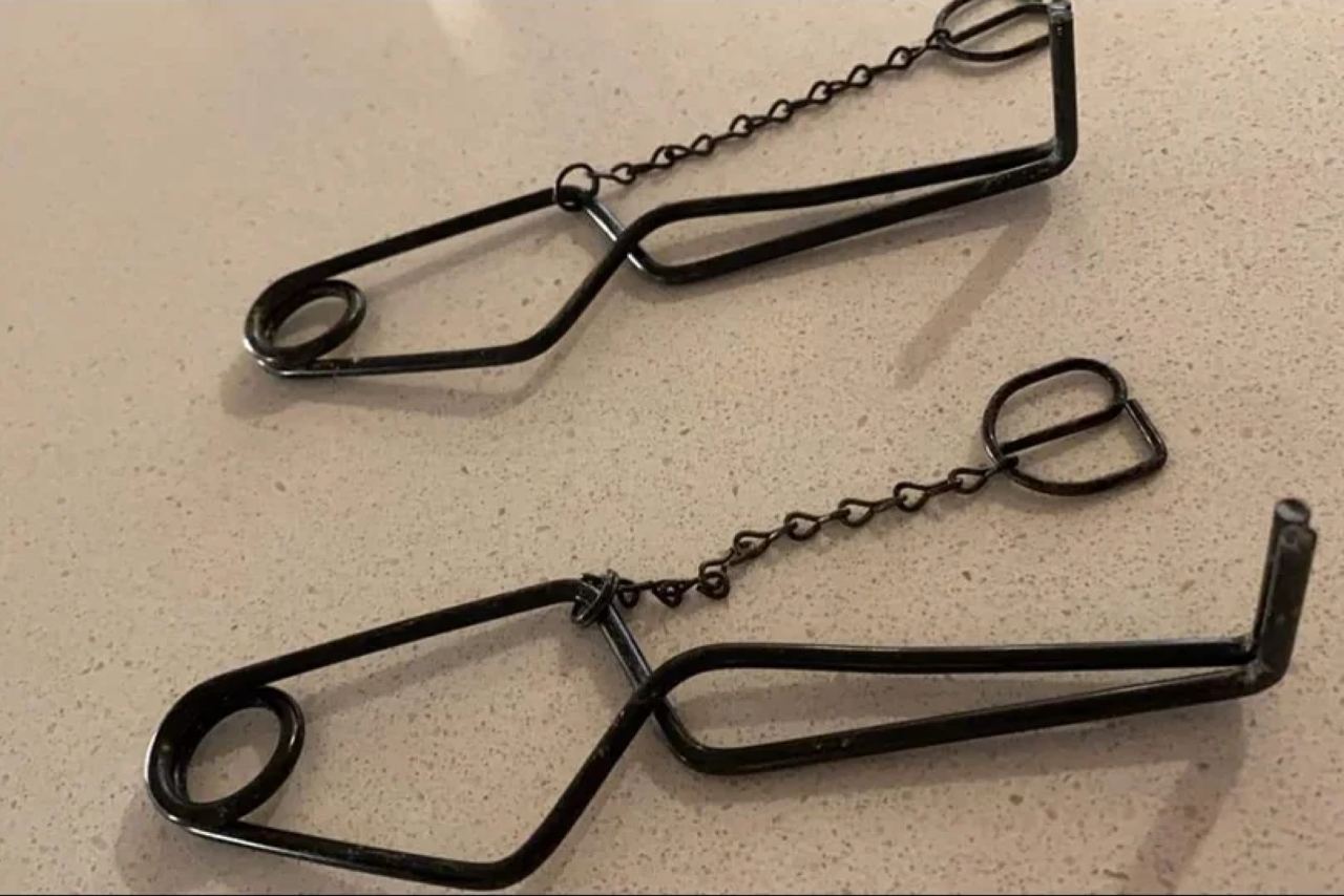 Дверной звонок в виде капкана