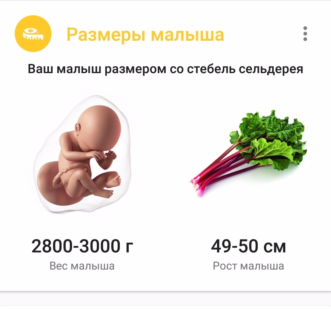 Какого размера малыш